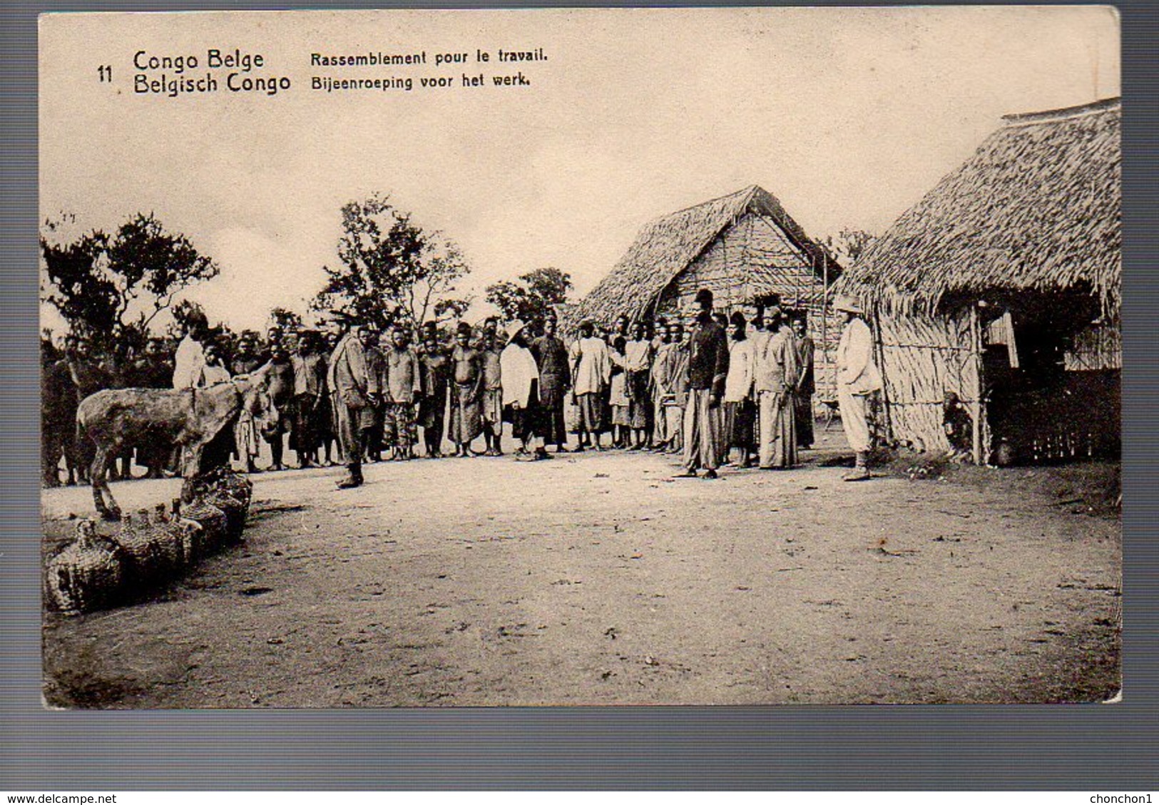 CONGO - ENTIER STIBBE 43 - VUE 11 - NEUF  TB - PL8 - Entiers Postaux