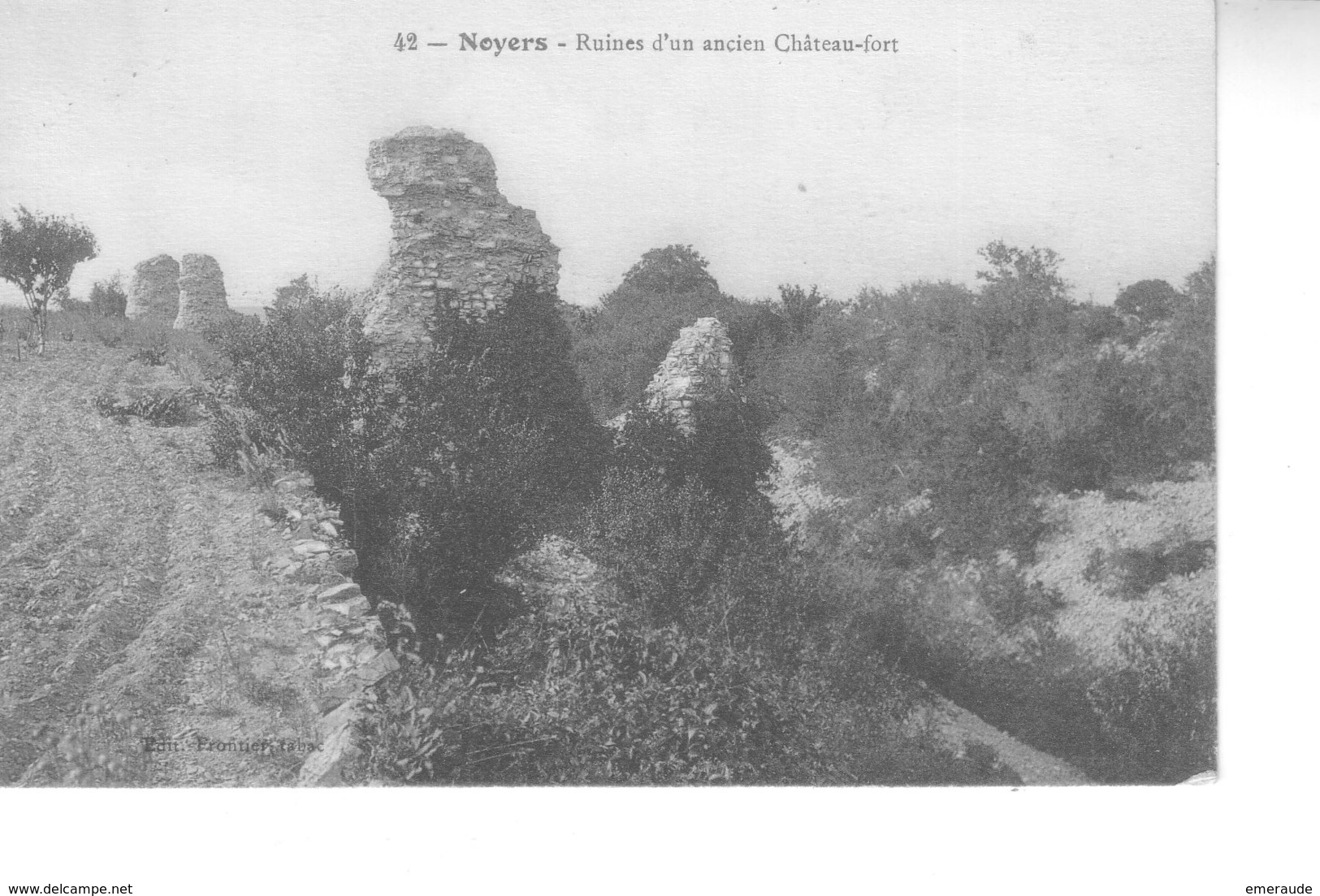 NOYERS SUR SEREIN Ruines D'un Ancien Château Fort - Noyers Sur Serein