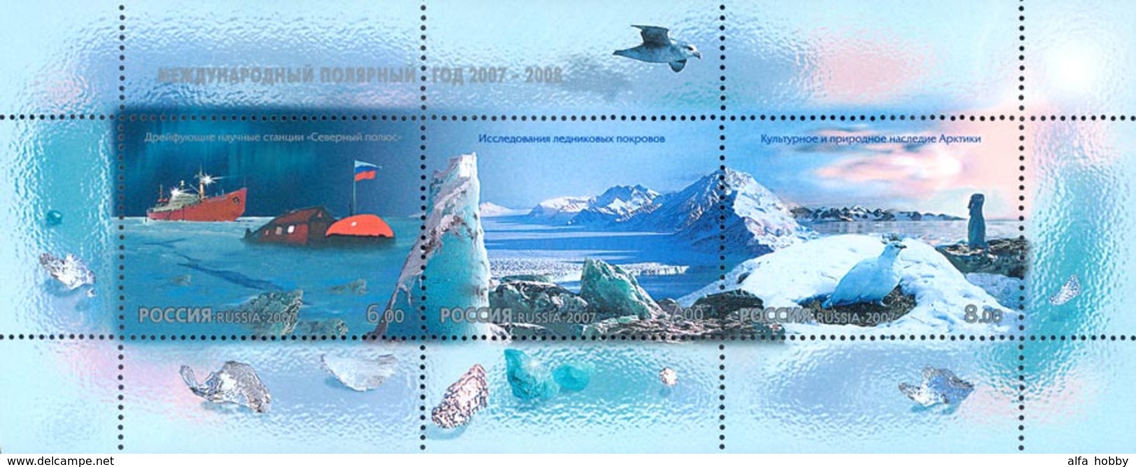 Russia, Polar Year, Birds, 2007, S/s Block Sheetlet - Blokken & Velletjes