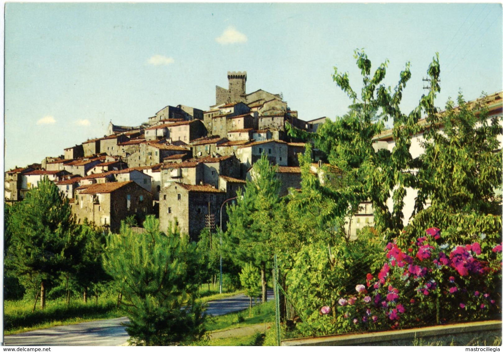 ARCIDOSSO  GROSSETO  Monte Amiata  Panorama - Grosseto