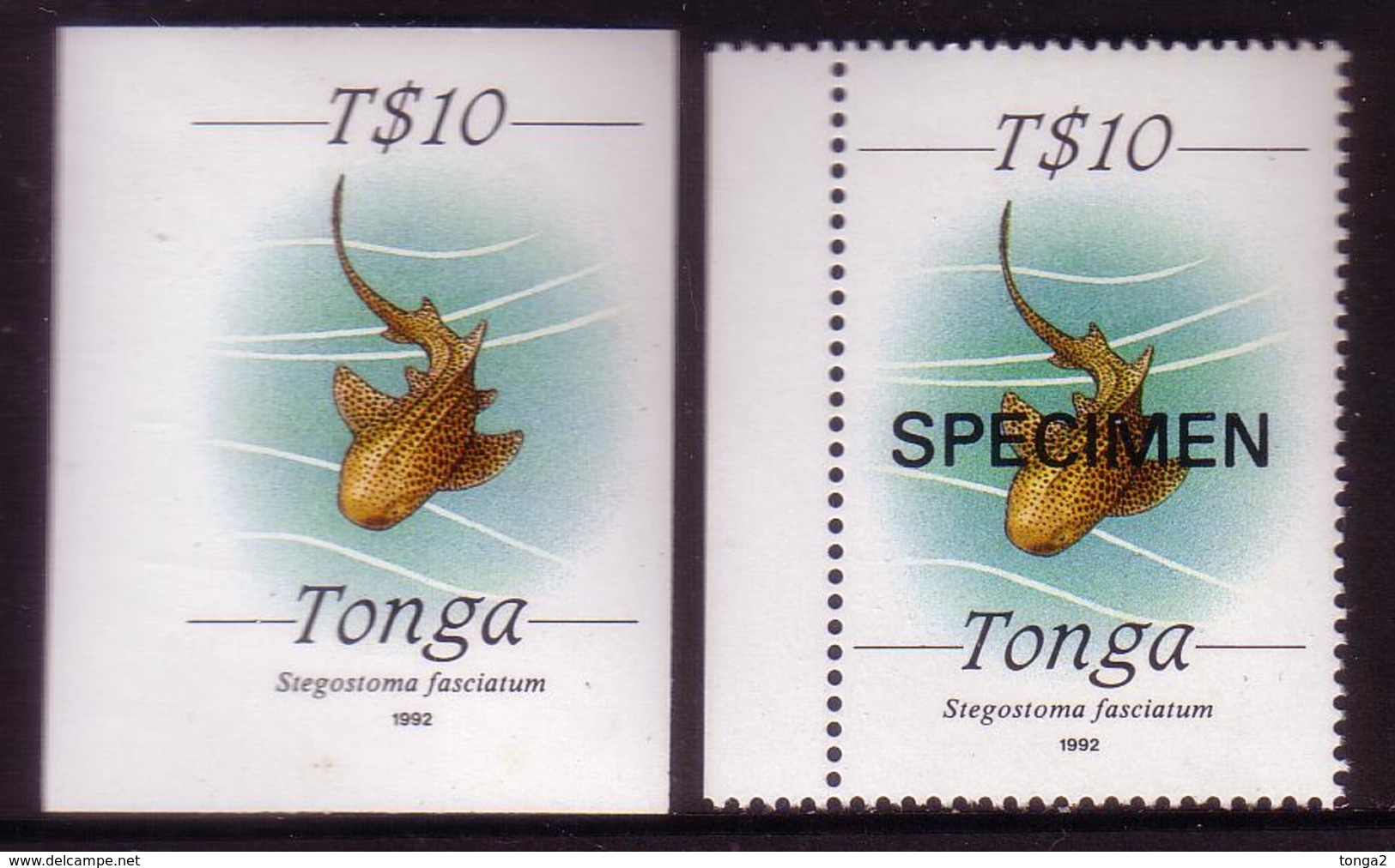 Tonga 1992 - IMPERF Plate Proof $10.00 Shark - One Sheet Of 10 Known - Rare - Matching Specimen Is Included - Tonga (1970-...)