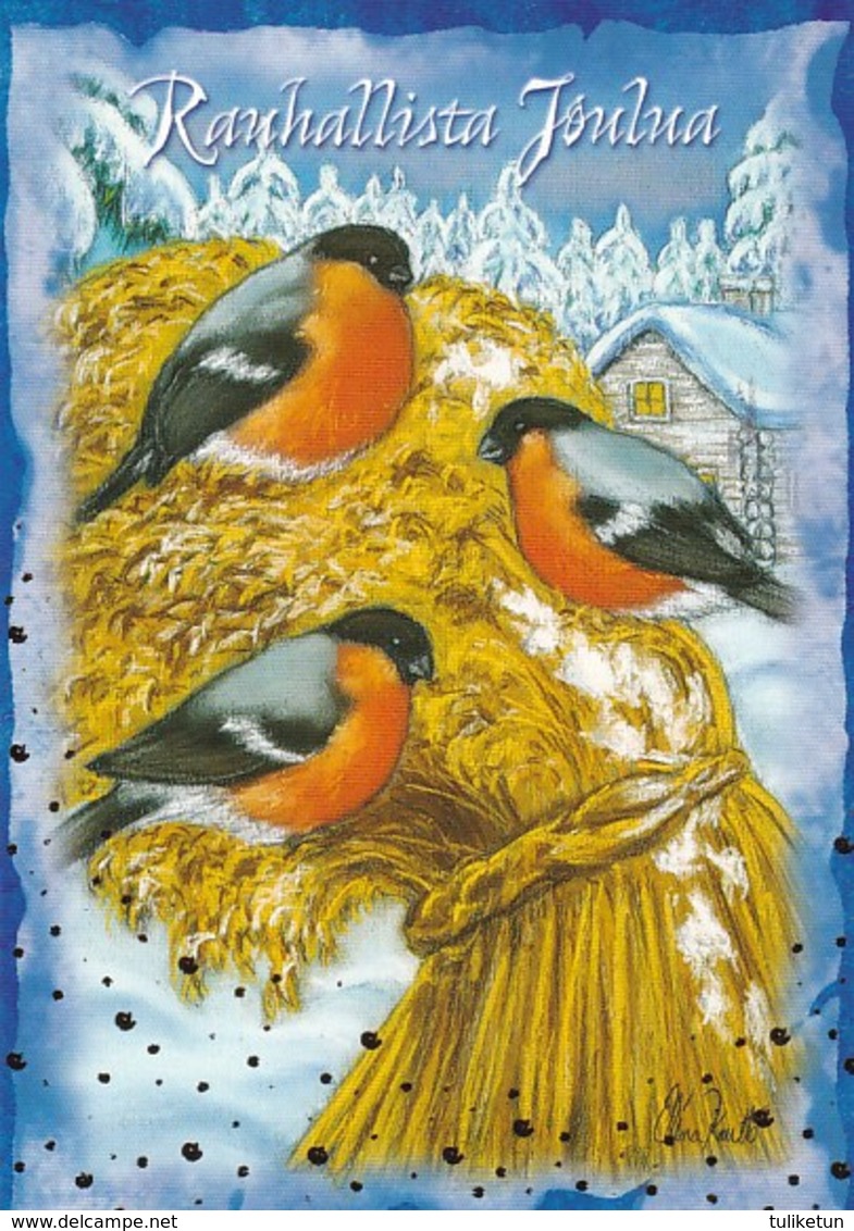 Bird - Oiseau - Vogel - Uccello - Pássaro - Bullfinches On Oatmeal - Elina Kautto - Autres & Non Classés