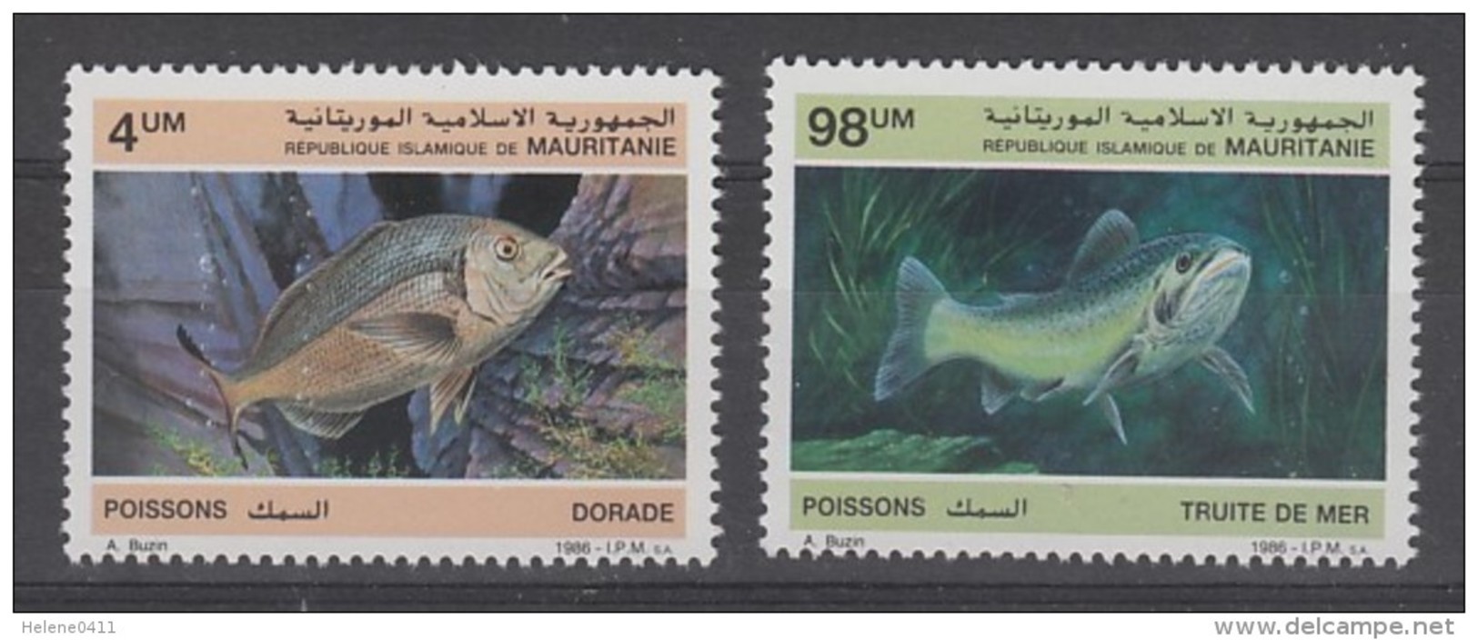 PAIRE NEUVE DE MAURITANIE - DORADE ET TRUITE DE MER (DESSIN ANDRE BUZIN) N° Y&T 592/593 - Peces