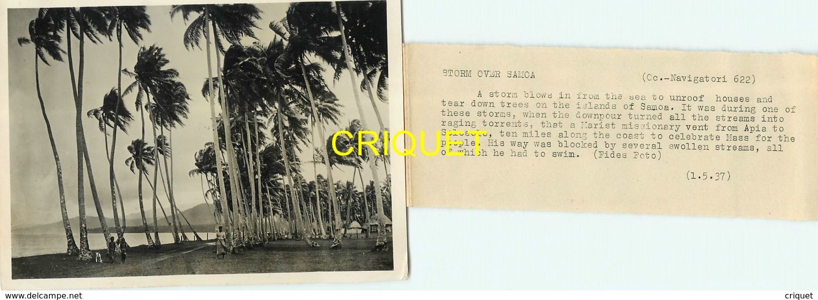 Samoa, Grande Photo Originale, Village Ern Bord De Mer, Beau Document, 1937 - Samoa