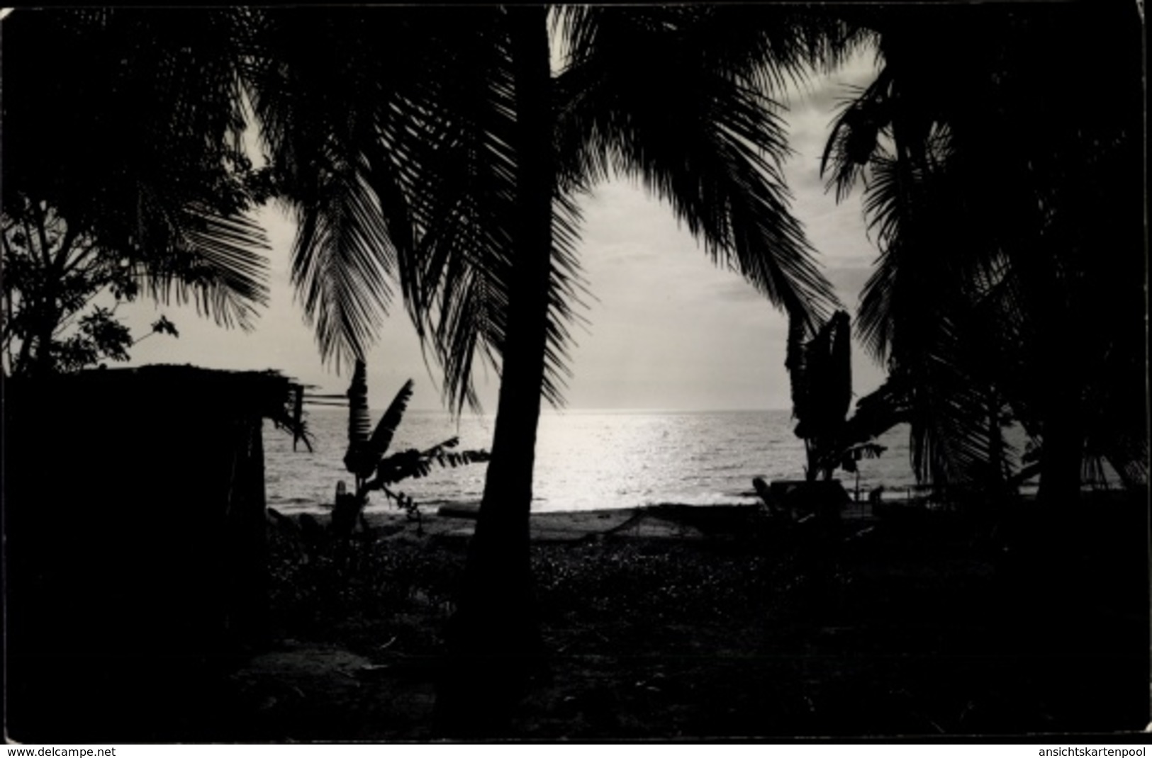 Photo Cp Matadi Demokratische Republik Kongo Zaire, Strandpartie, Palmen - Andere & Zonder Classificatie