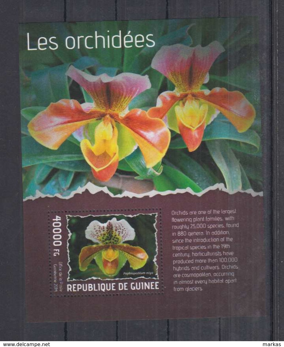 B92. Guinee - MNH - 2014 - Nature - Flora - Flowers - Orchids - Bl - Non Classés