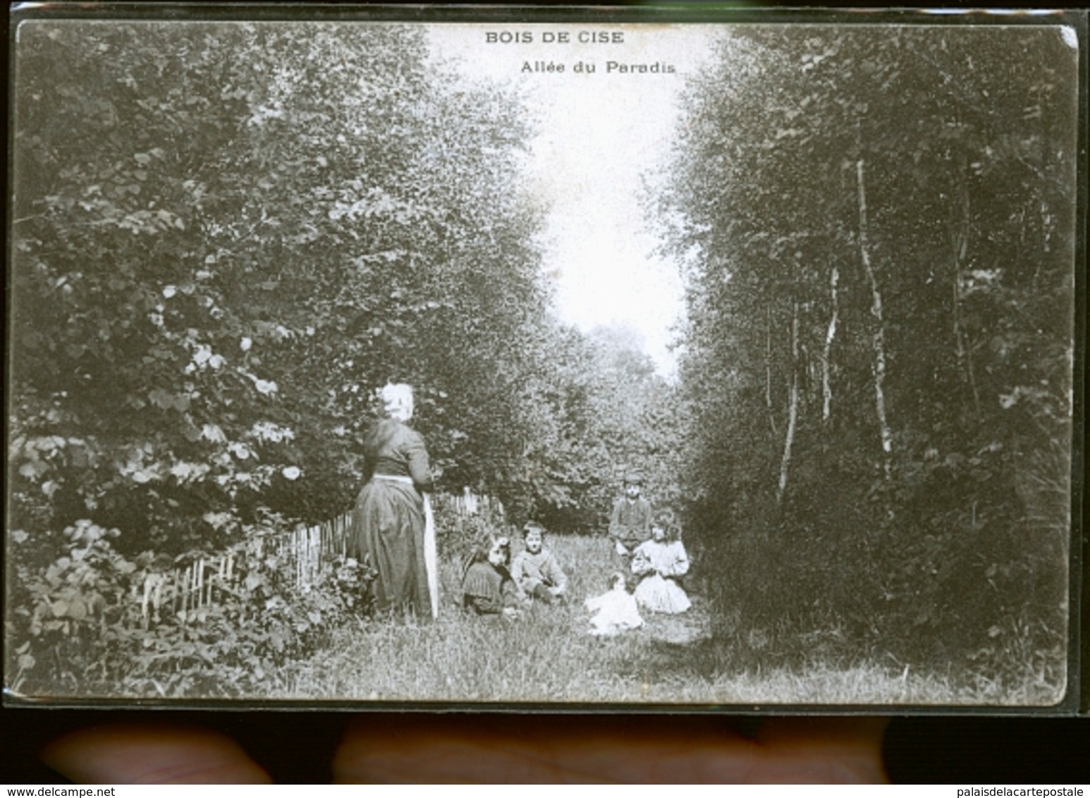 BOIS DE CIZE              JLM - Bois-de-Cise