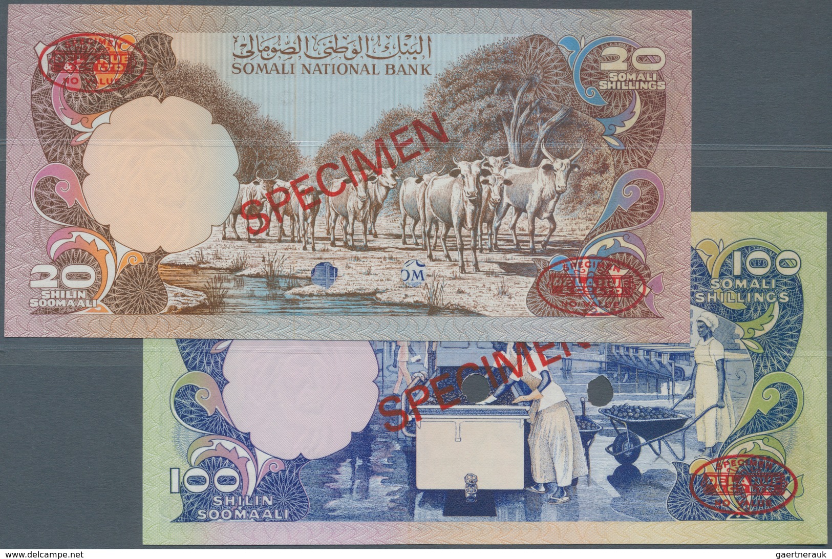 Somalia: Set Of 2 Specimen Banknotes 20 And 100 Shiling 1975 P. 19s And 20s, Both In Condition: UNC. - Somalia