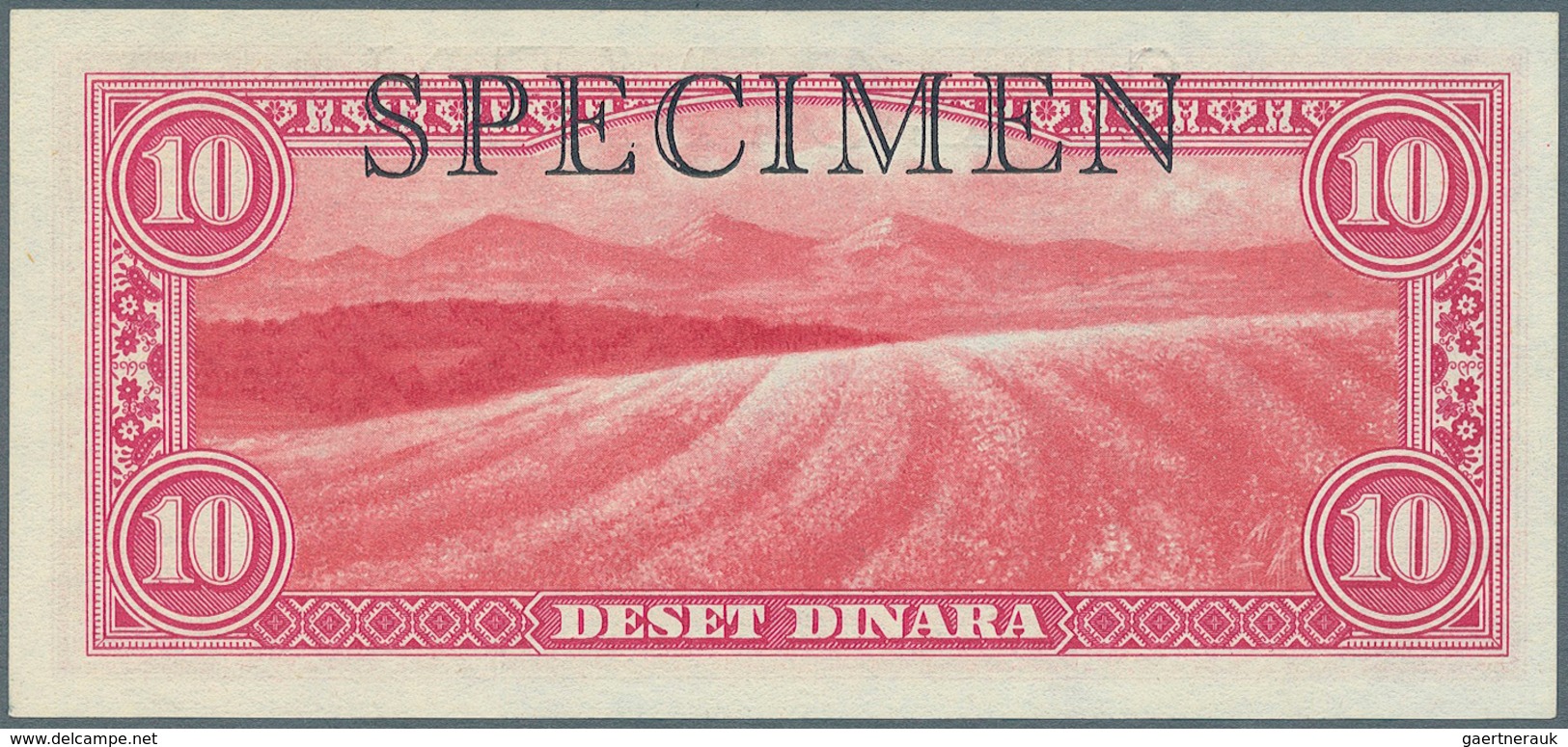 Yugoslavia / Jugoslavien: Not Issued Banknote 10 Dinara Series 1943 Specimen, P.35Bs, In Perfect UNC - Yugoslavia