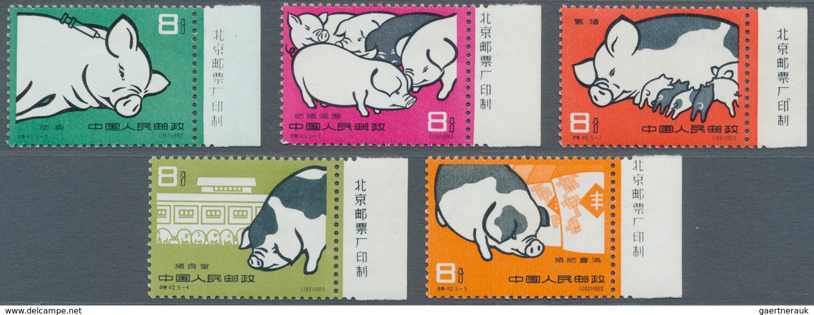 China - Volksrepublik: 1960, Pigs Set, All With Imprint Margin At Right, Mint Never Hinged MNH. - Other & Unclassified