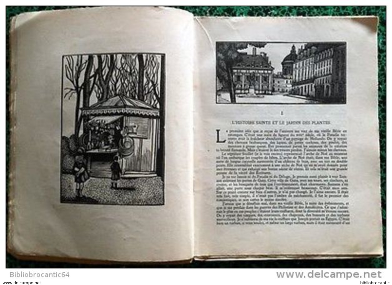 *PIERRE NOZIERE*par Anatole FRANCE +36 Bois De Constant LEBRETON - Autres & Non Classés