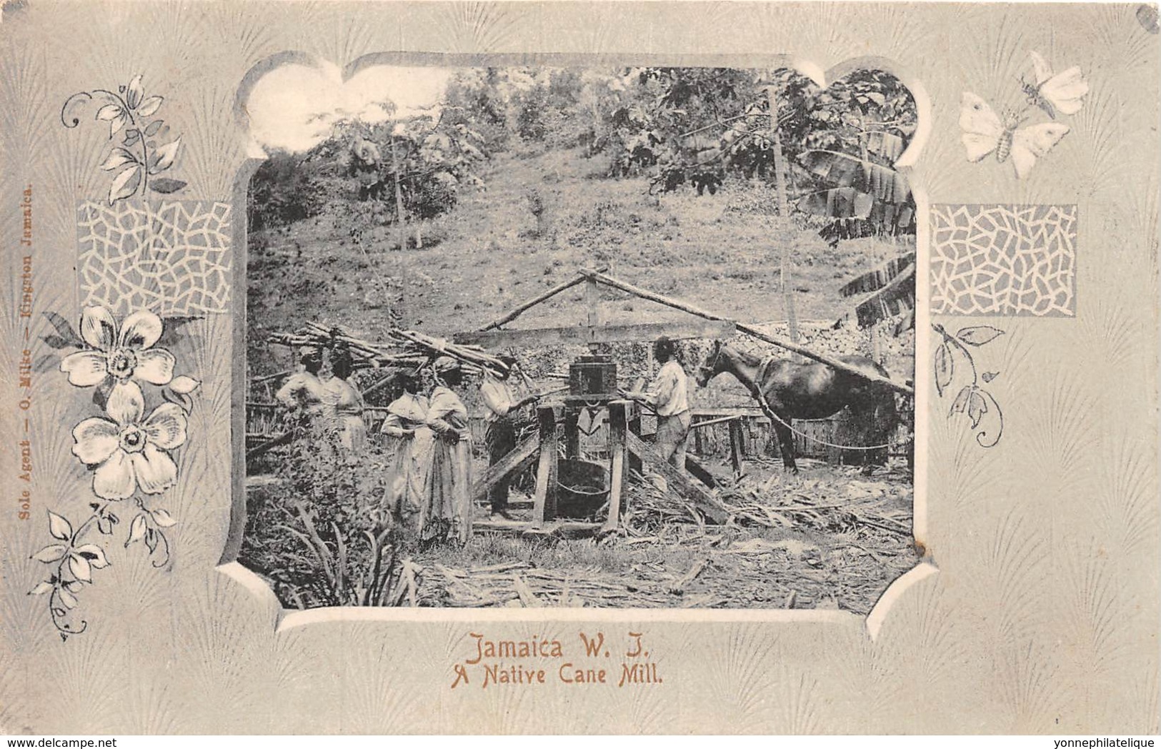 Jamaïque - Ethnic / 07 - A Native Cane Mill - Jamaïque