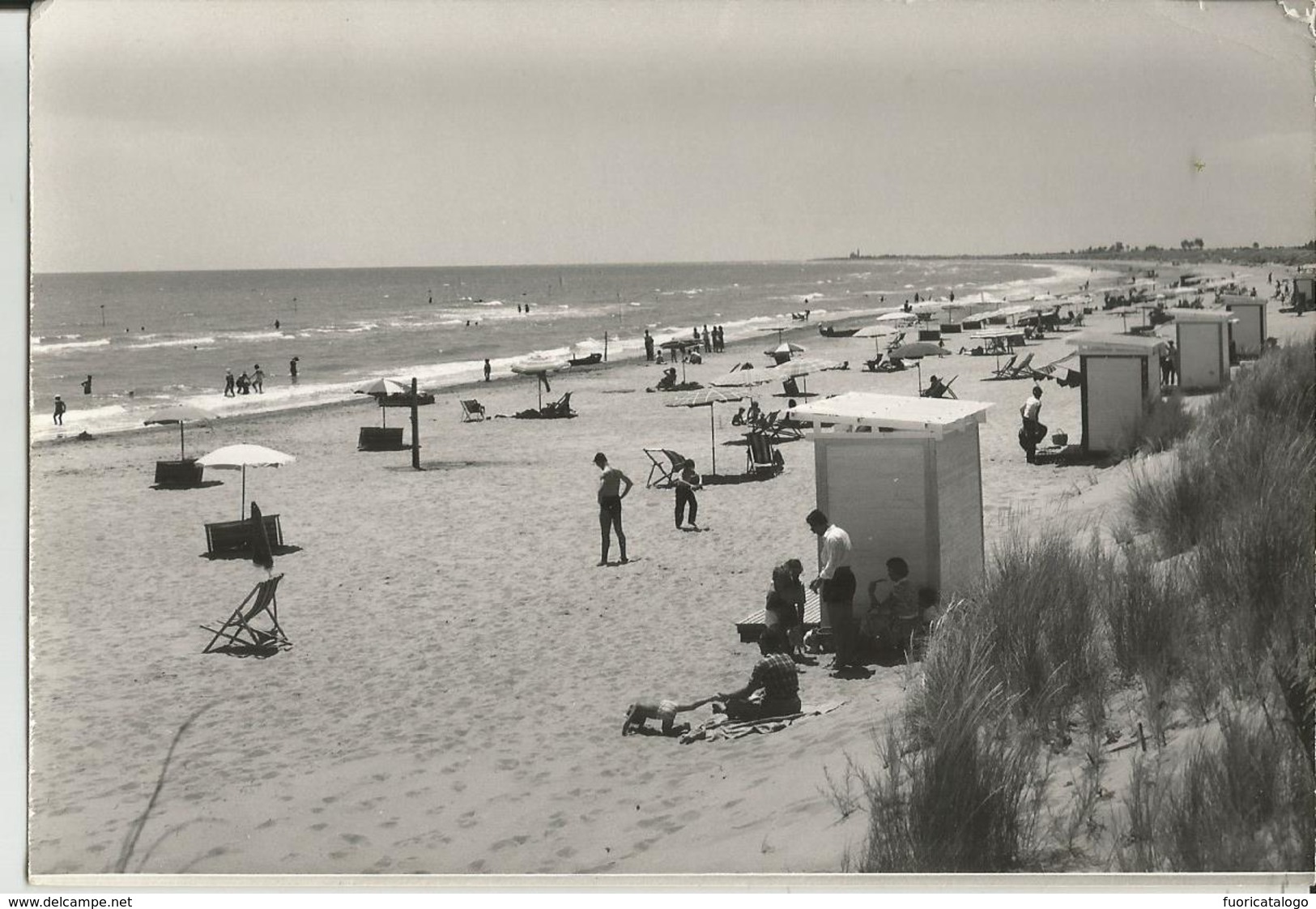 LIGNANO PINETA (UDINE) LA SPIAGGIA -FG - Udine