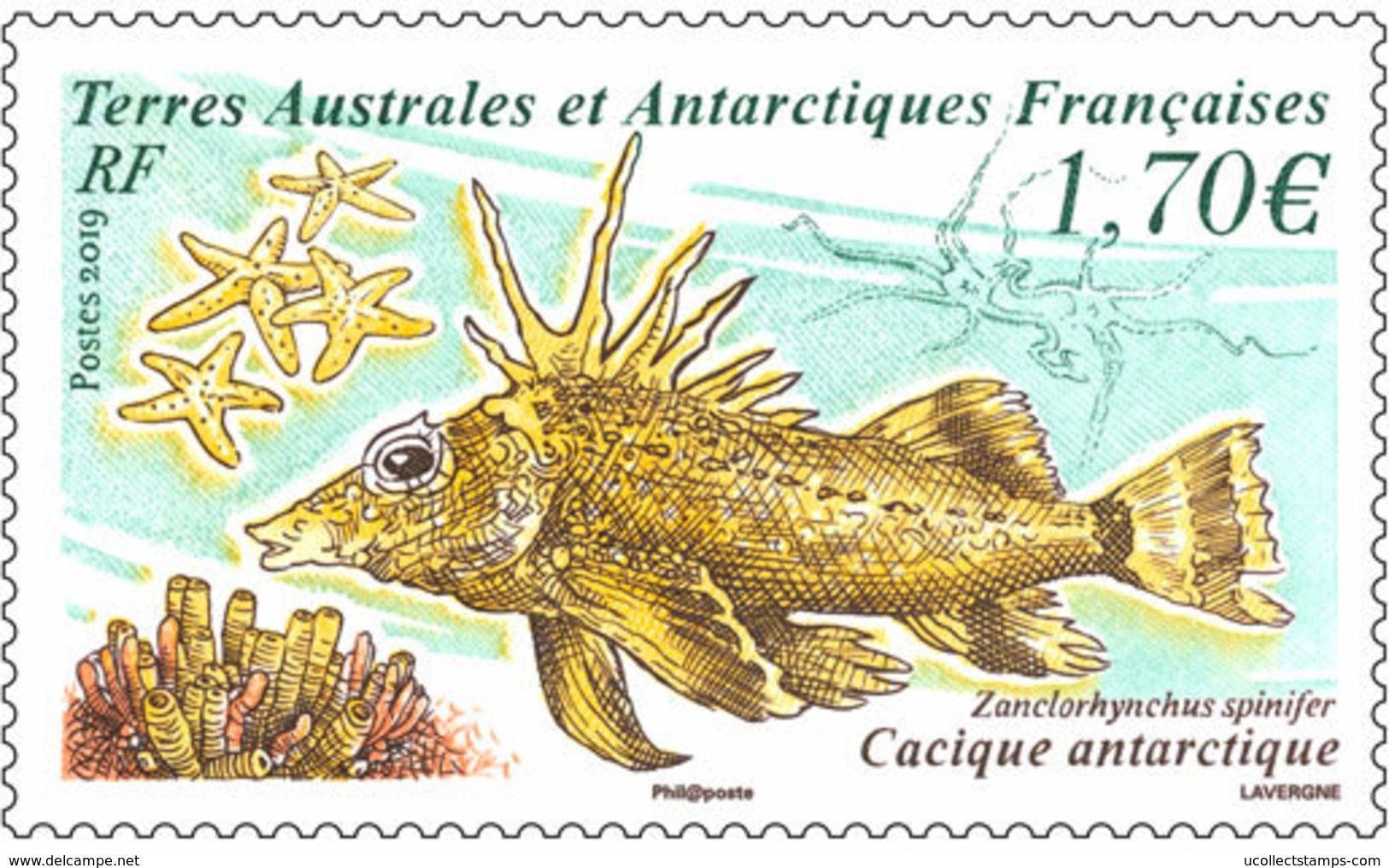 TAAF  2019 Poisson Cacique  Fish Vis    Mnh/neuf - Ongebruikt