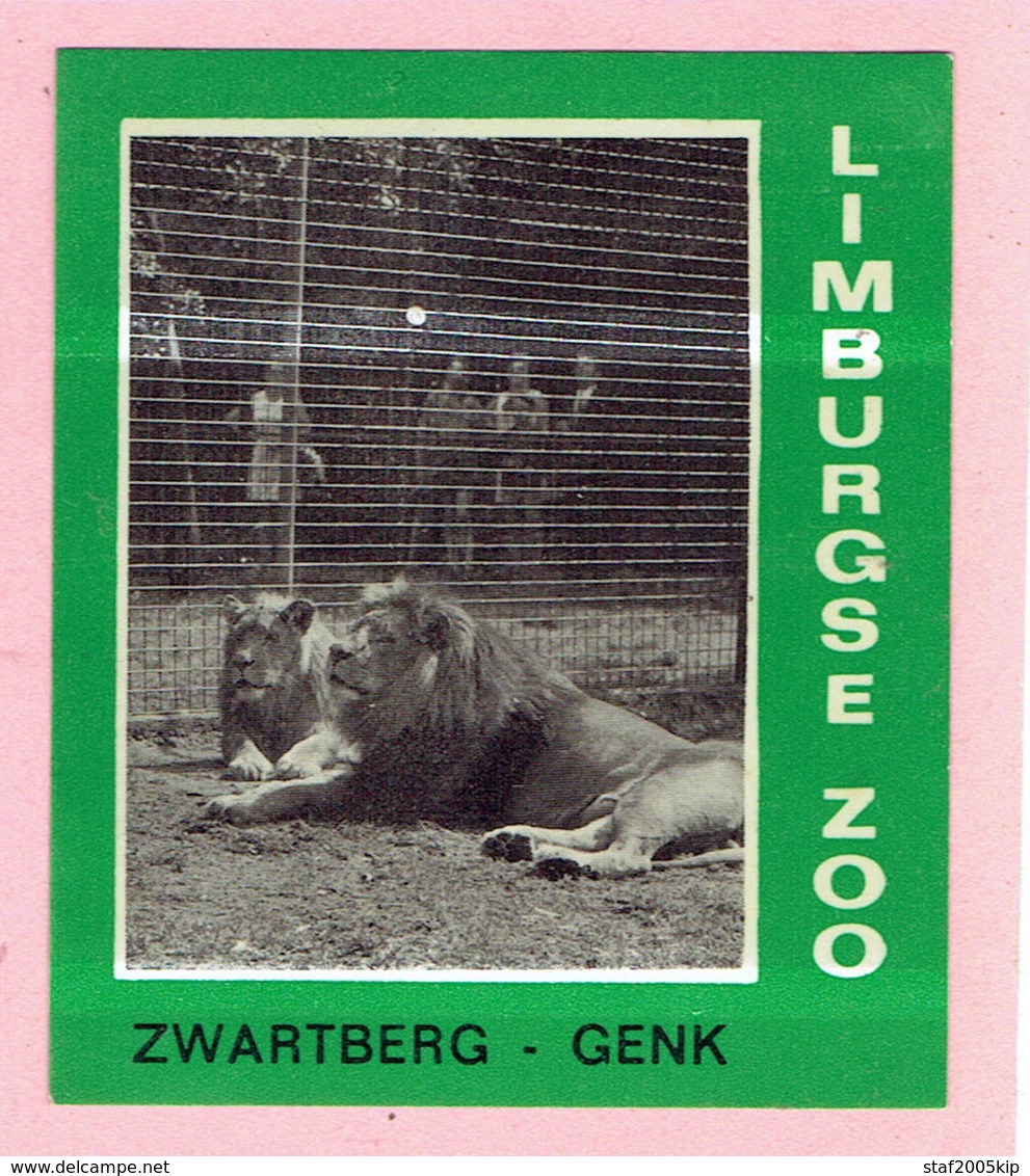 Sticker - Limburgse Zoo - Zwartberg Genk - Leeuwen - Autocollants