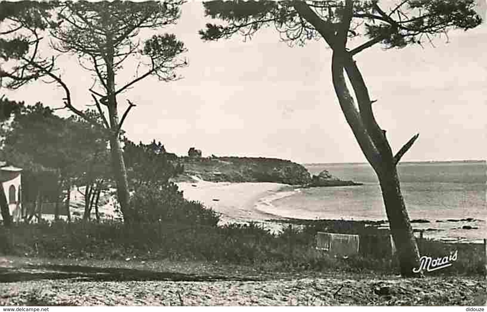 44 - Sainte Marguerite Sur Mer - La Plage Vue De Congrigoux - Voir Timbre - Voir Scans Recto-Verso - Autres & Non Classés