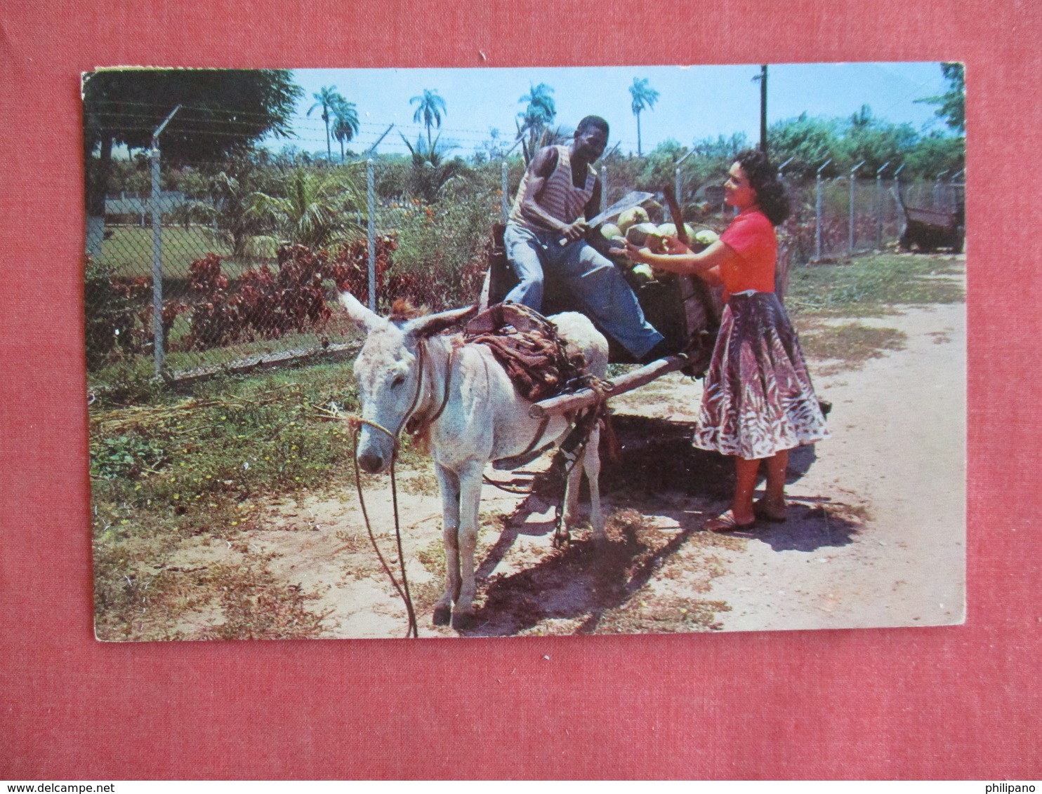 Coconut Wagon   Jamaica  Overprinted Stamp Has Stamp & Cancel  Ref 3136 - Jamaica