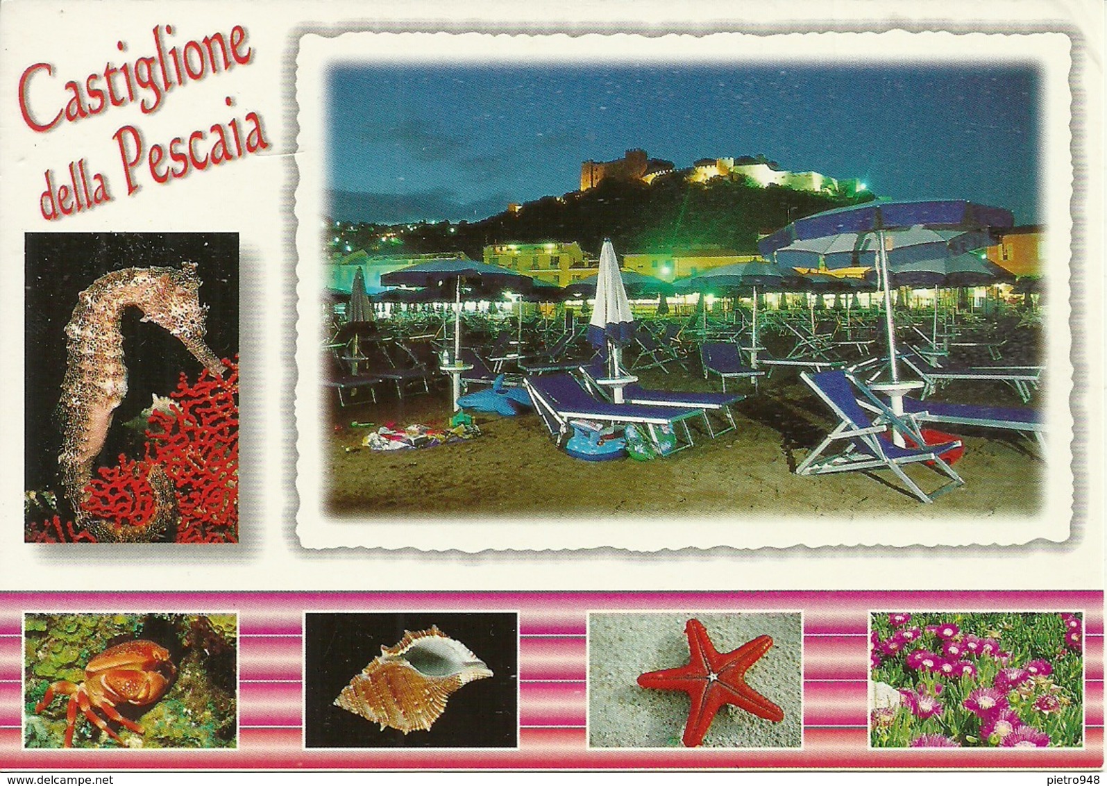 Castiglione Della Pescaia (Grosseto) Vedute: Spiaggia Notturno, Stella Marina, Conchiglia, Grancio, Cavalluccio Marino - Grosseto