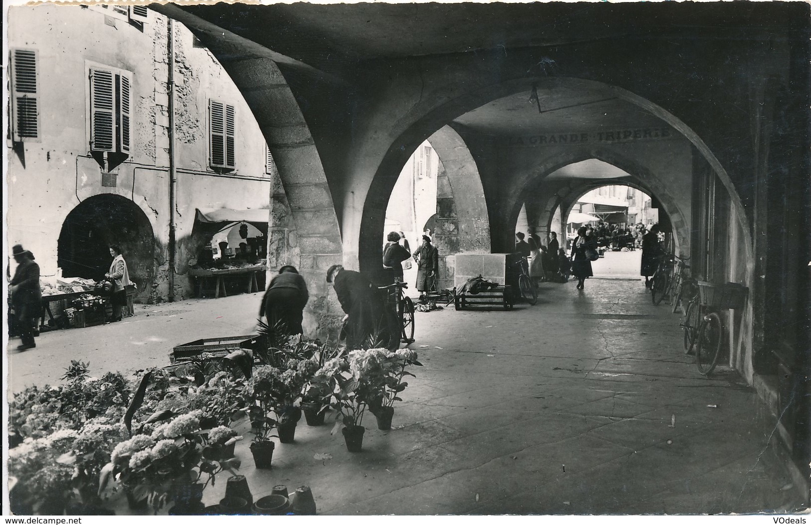 CP - France - (74) Haute Savoie - Annecy - Vieilles Arcades Sur Ste-Claire - Annecy