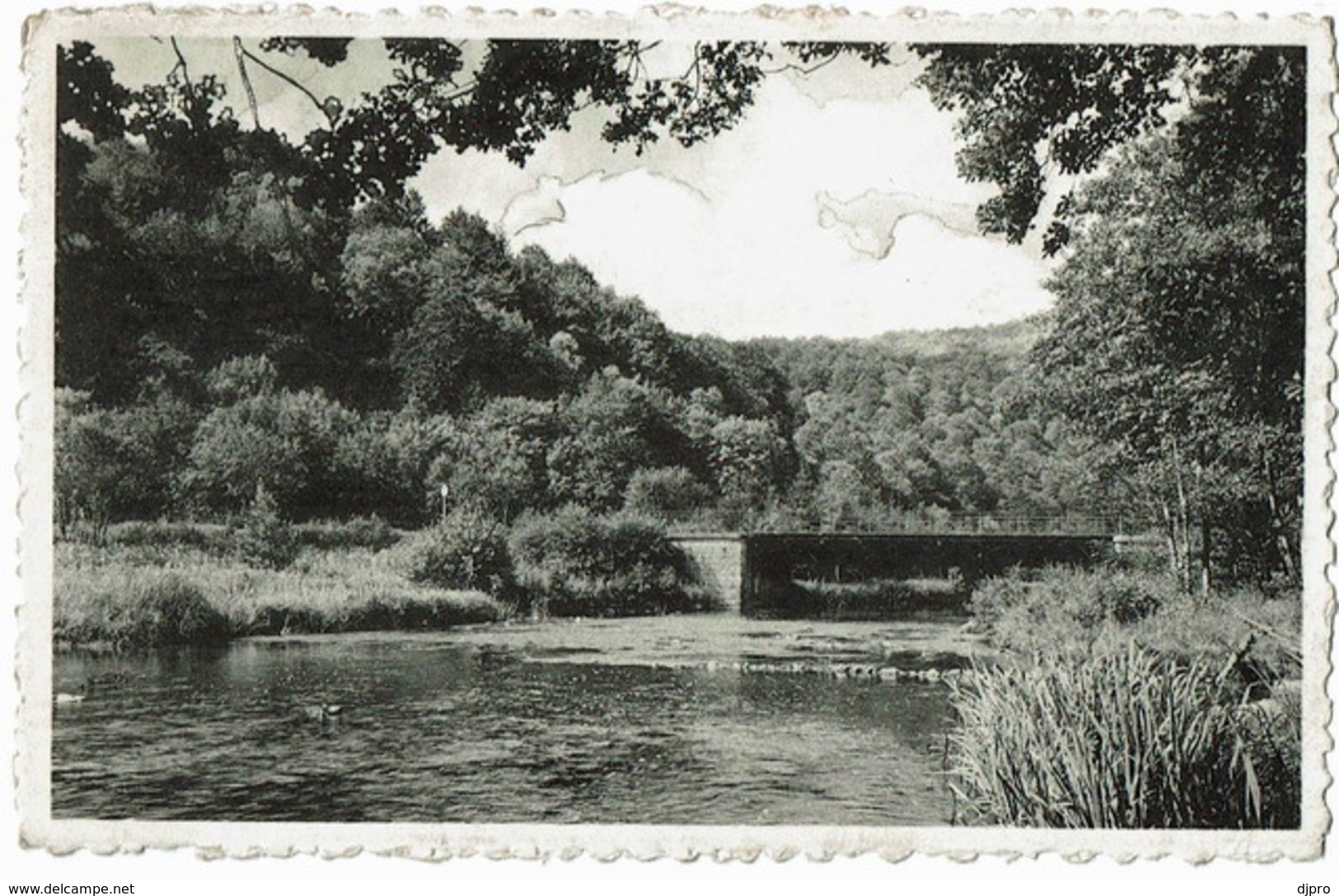 Neupont  Sur Lesse   Le Pont Du Ry Des Glands - Wellin