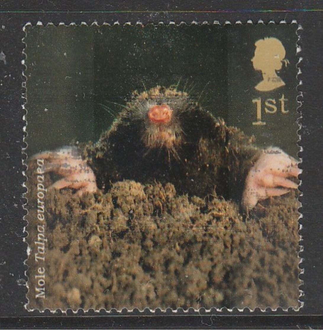 GB 2004 Woodland Animals 1st Sg:GB 2487 O Used - Used Stamps