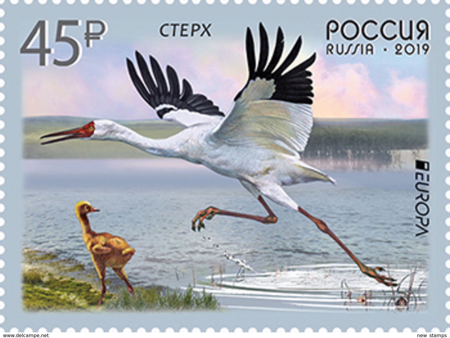 Russia 2019 Europa Birds 1v MNH - Neufs