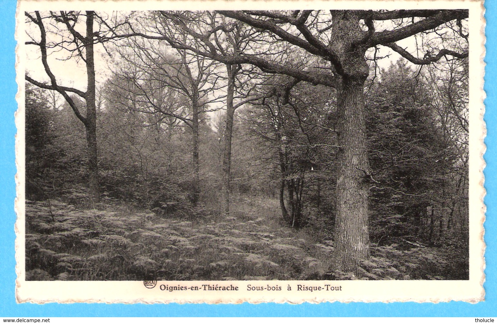 Oignies-en-Thiérache (Viroinval)-1957-Sous-Bois à Risque-Tout-Edit.Maison Petit-Leclercq, Oignies - Viroinval