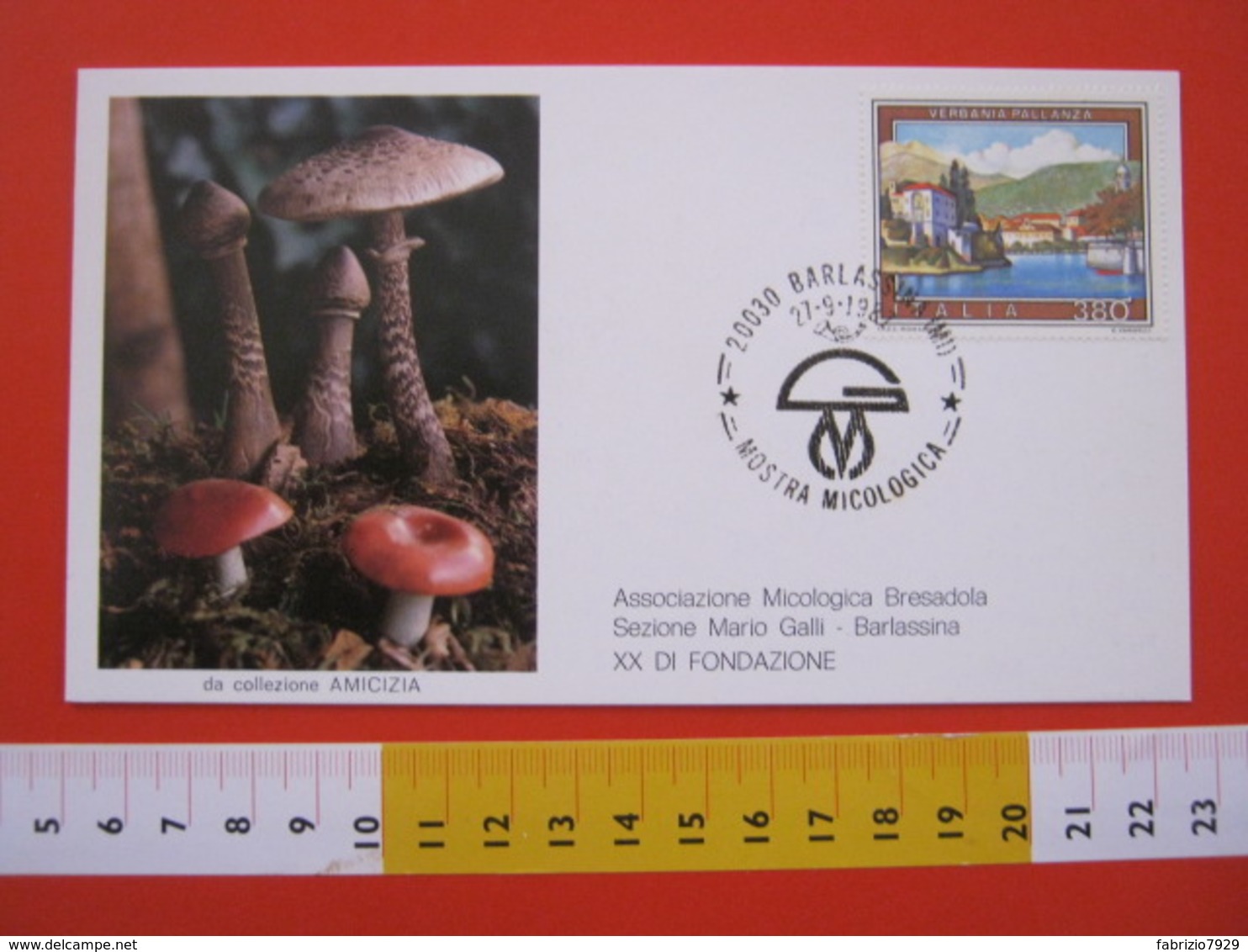 A.06 ITALIA ANNULLO - 1987 BARLASSINA MILANO MOSTRA MICOLOGICA FUNGO FUNGHI LOGO ASSOCIAZIONE 20 ANNI - Funghi