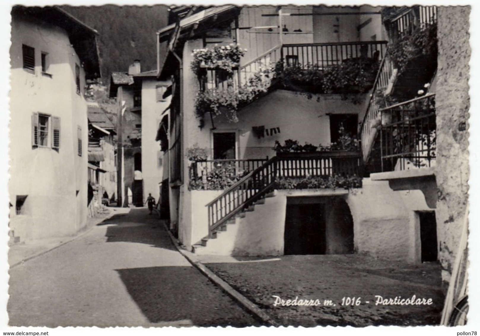 PREDAZZO - PARTICOLARE - TRENTO - 1958 - Trento