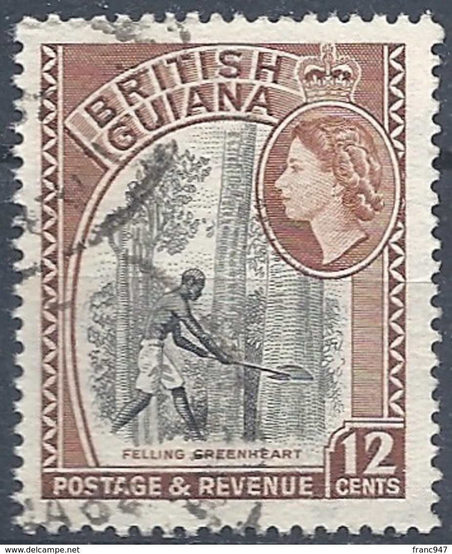 British Guyana, 1954 Queen Elizabeth, 5c Black & Red, Wmk Multi  Script CA # S.G. 338 - Michel 206 - Scott 260 USED - British Guiana (...-1966)