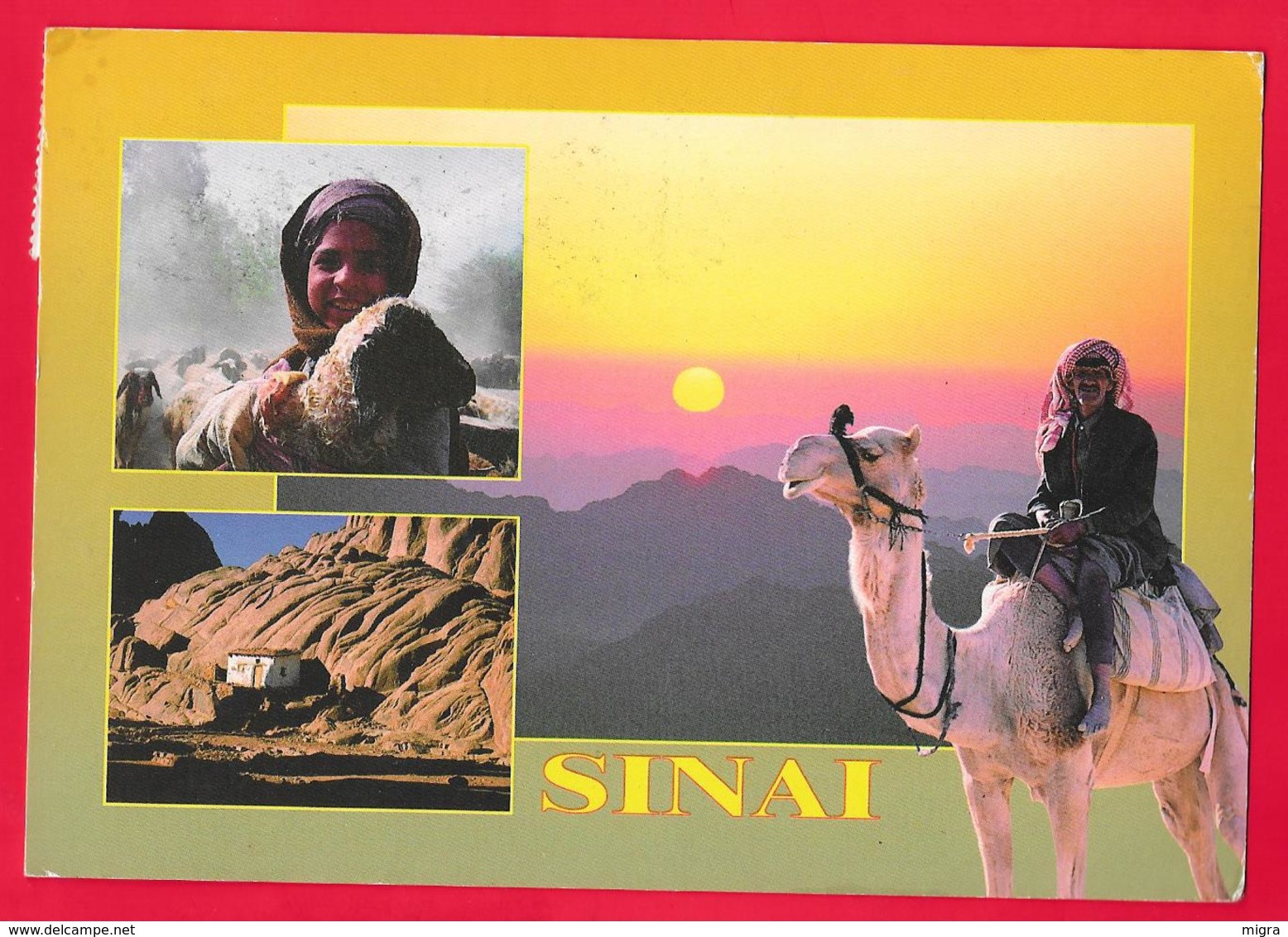 EGYPT - EGITTO - SINAI - Used Stamps