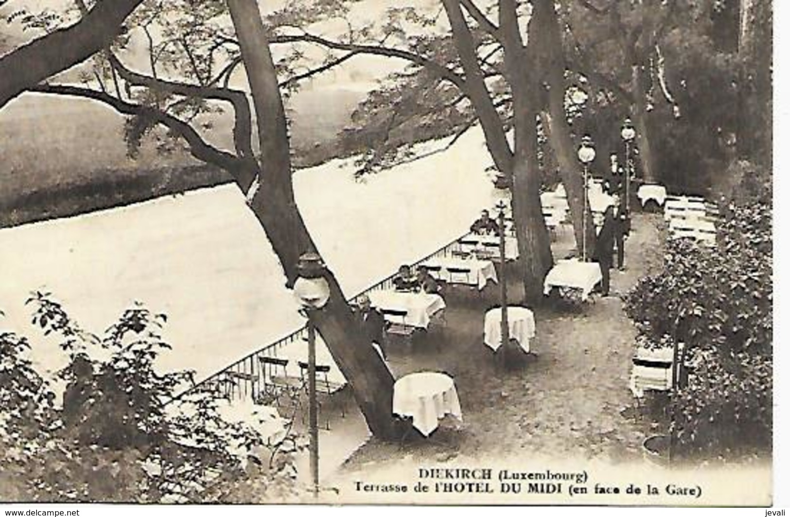 CPA / AK / PK   -  DIEKIRCH   Terrasse De L'hôtel Du Midi - Diekirch