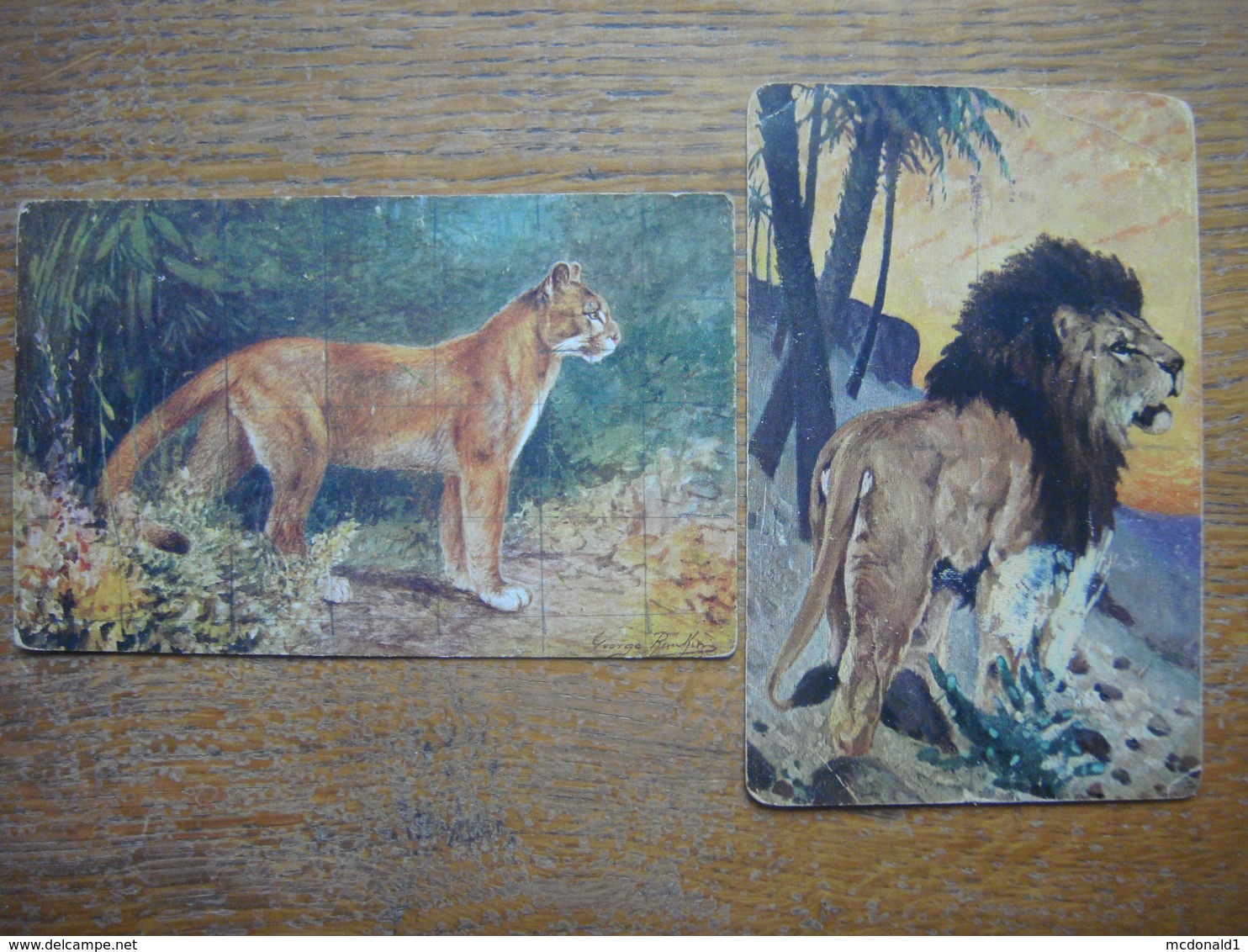 Lot De 2 Vieilles Cartes Avec LION LIONNE - Leeuw Leeuwin - Lion Lioness - Lions