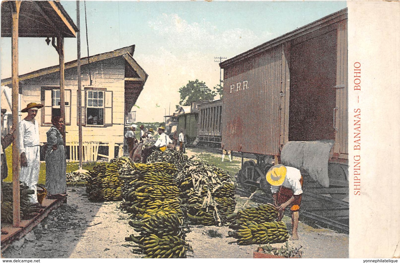 Panama - Other Topo / 70 - Shipping Bananas - Bohio - Panama