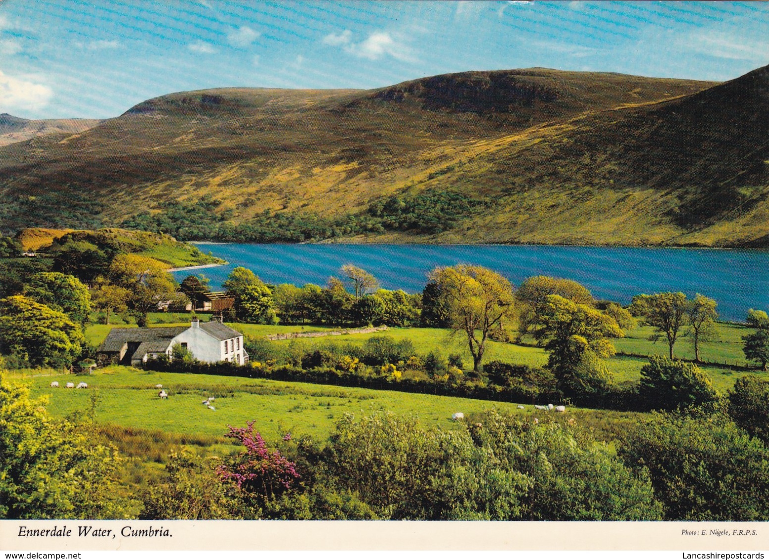 Postcard Ennerdale Water Cumbria [ John Hinde ] My Ref  B23369 - Other & Unclassified