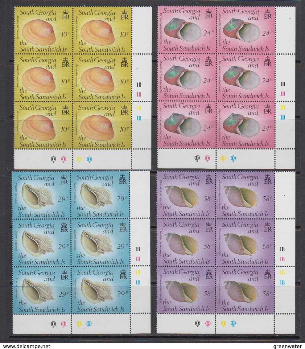 South Georgia 1988 Shells 4v Bl Of 6 ** Mnh (41704D) - Zuid-Georgia