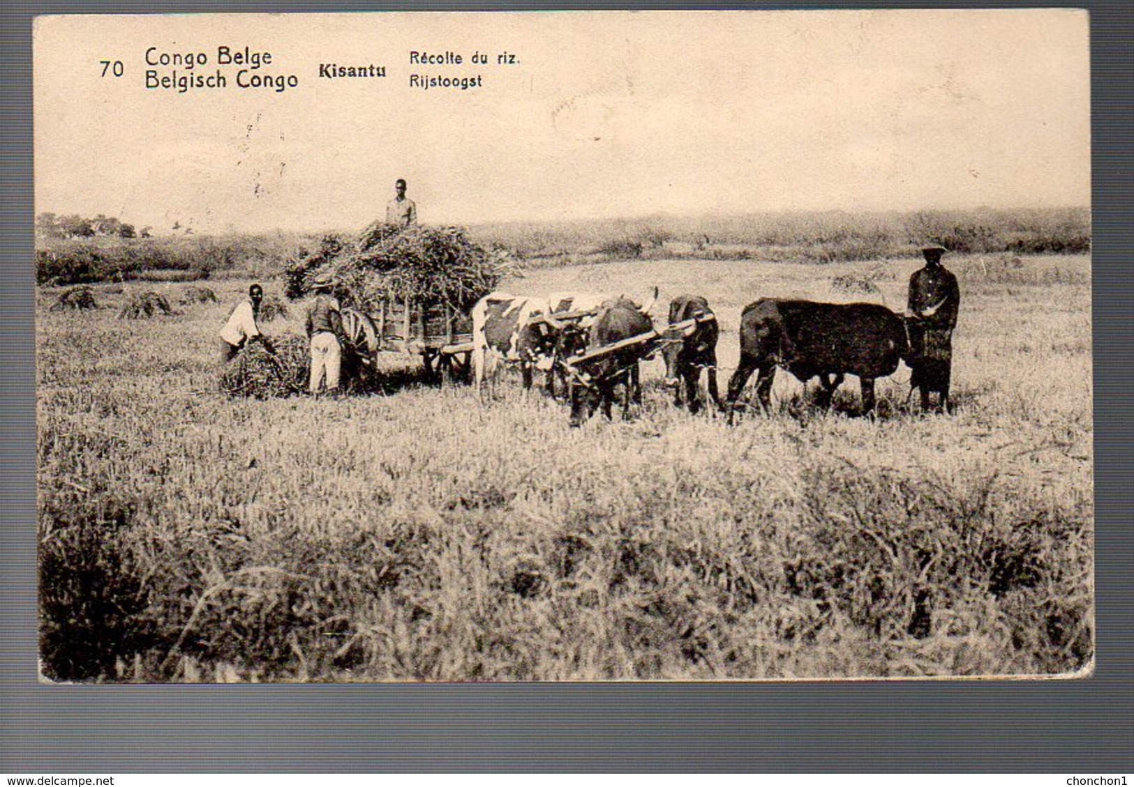 CONGO - ENTIER STIBBE 43 - VUE 70 - ABA 1914 Vers NAMUR - TTB   - PL8 - Ganzsachen