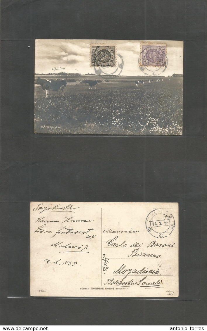 Sweden. 1926 (14 Febr) Malmo - Italian Somaliland, Mogadiscio, Fkd View Card. Very Rare Destination / Postal Link. - Other & Unclassified