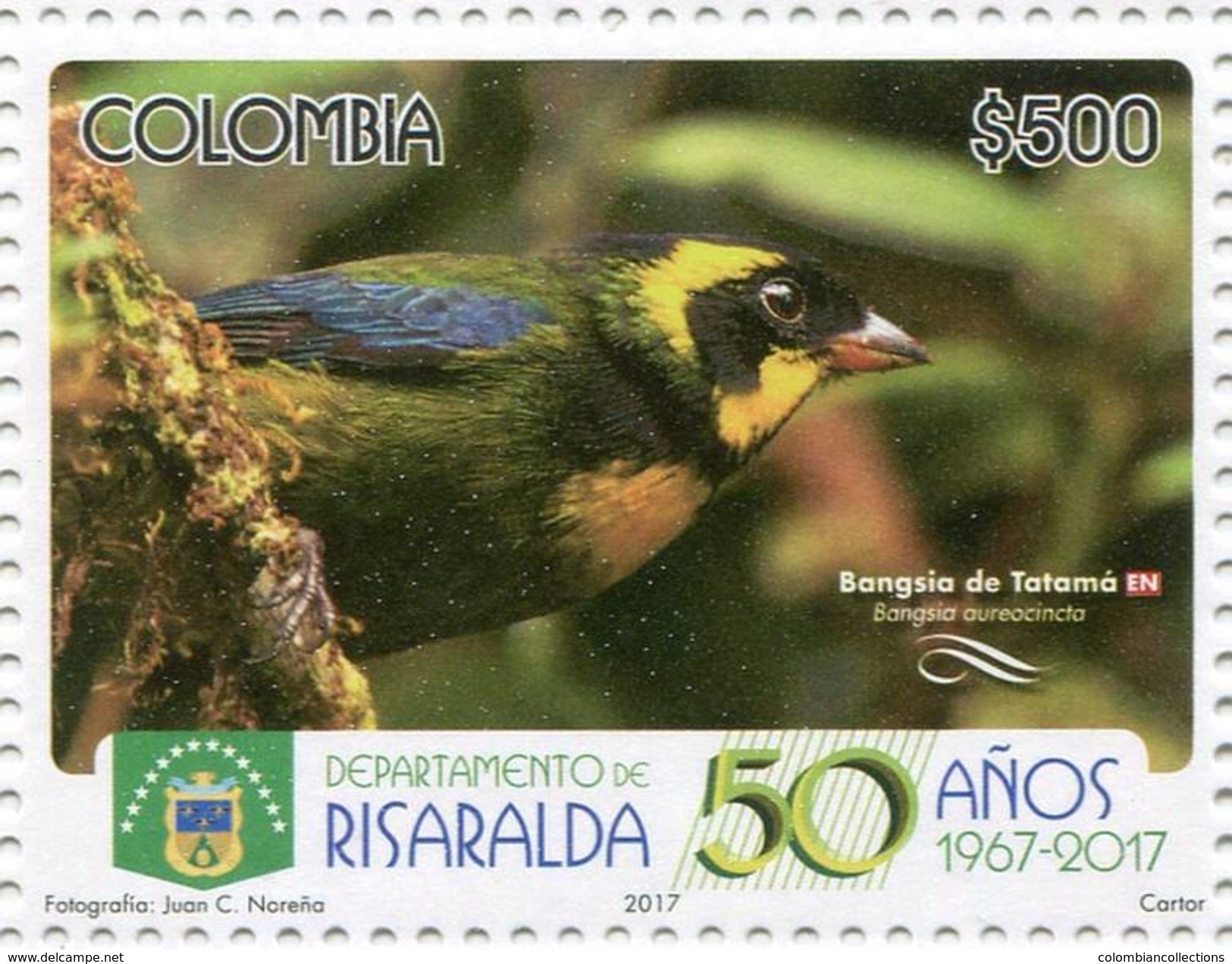 Lote 2017-3.1, Colombia, 2017, Sello, Stamp, Departamento De Risaralda 50 Años 1967-2017, Bird, Bangsia De Tatama, Ave - Colombia