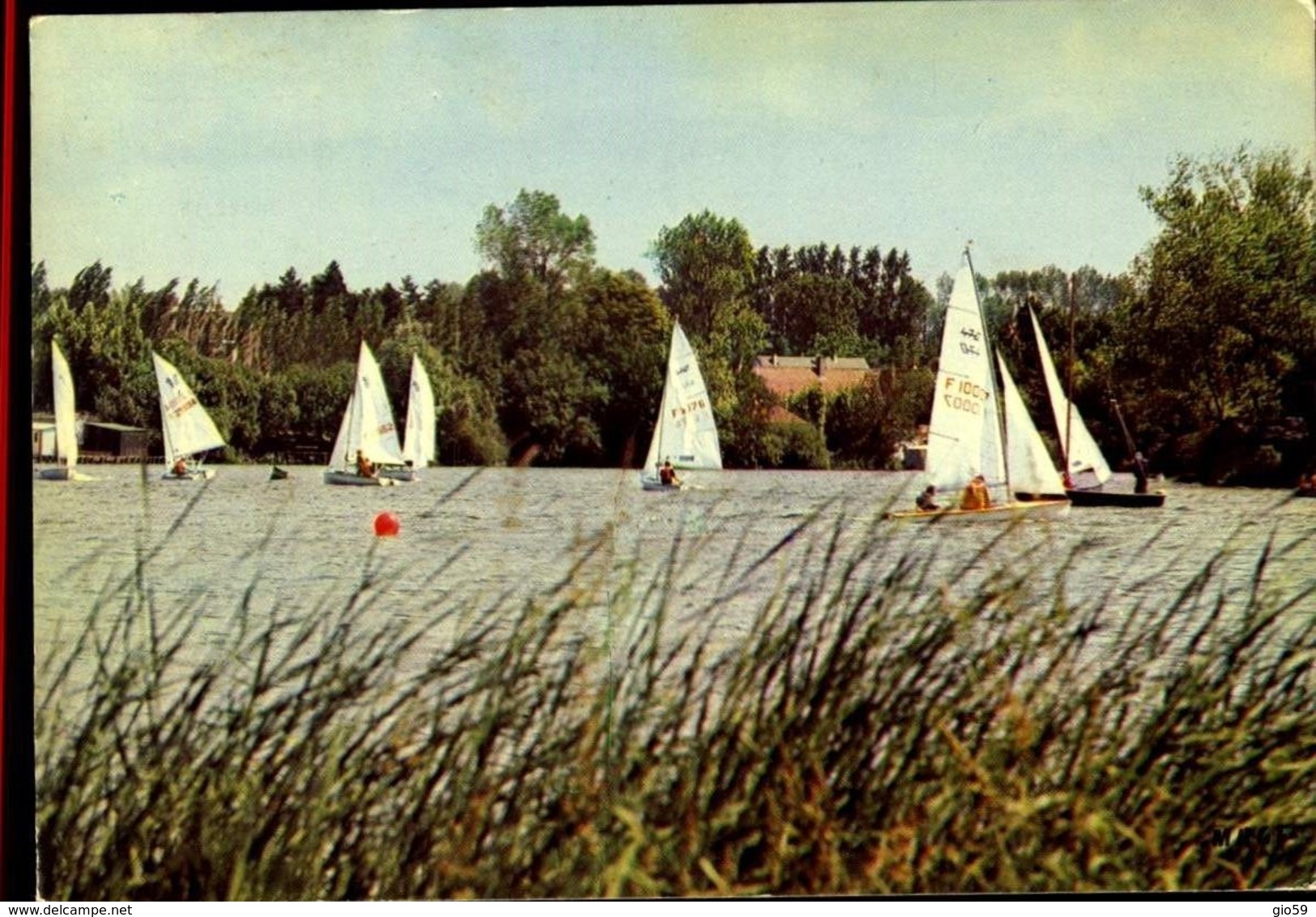 62 ARDRES - LE LAC ET LES REGATES / A 352 - Ardres