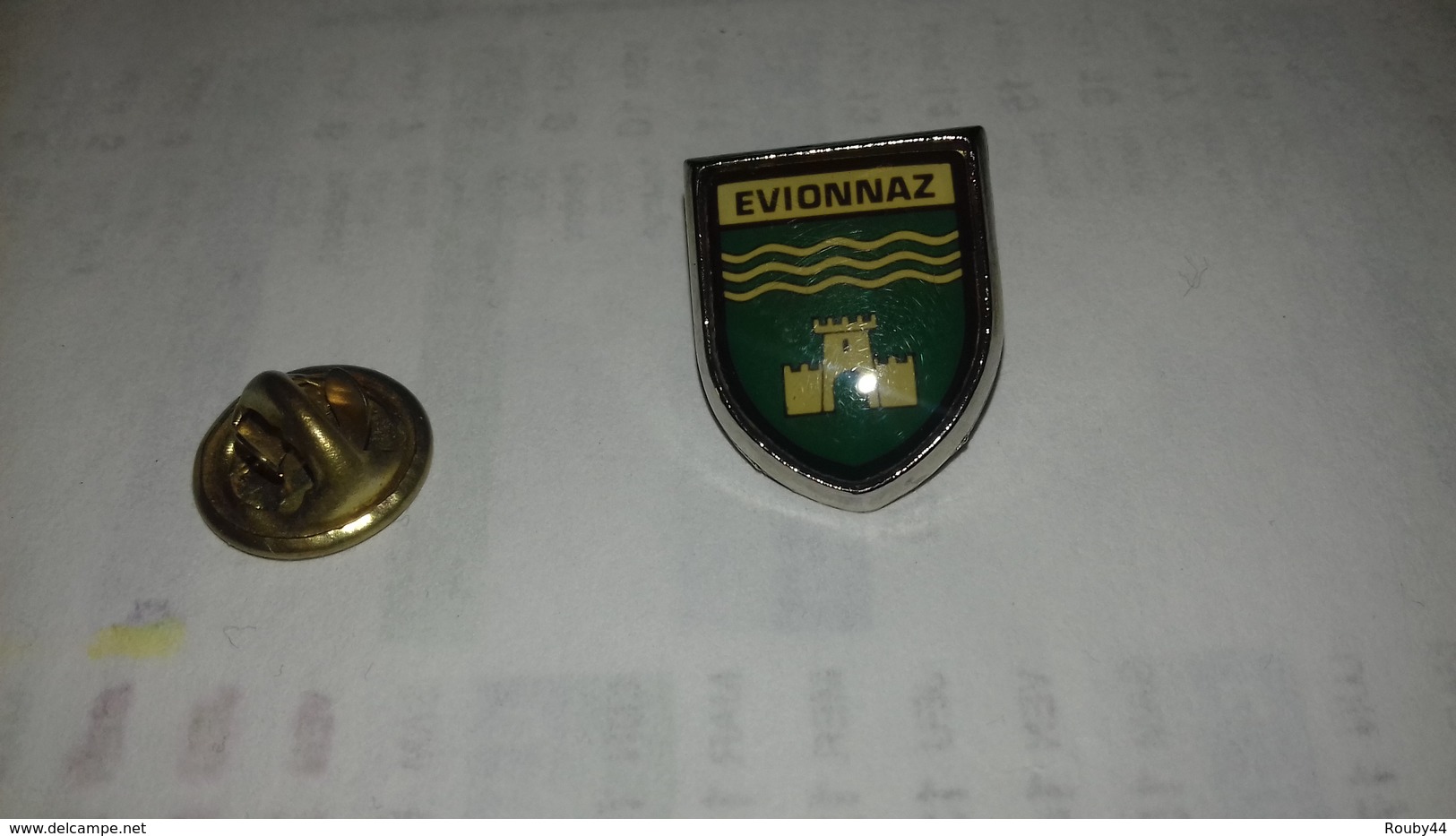 Pin S Blason D Evionnaz - Villes