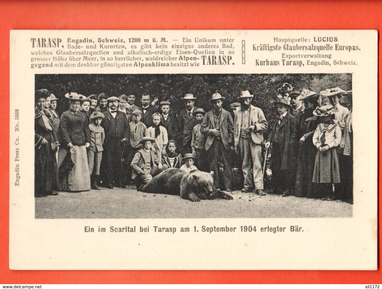 TRN-22 SELTEN Tarasp Engadin, Erlegter Bär Am 1. September 1904 Im Scarital . Belebt. Pionier. Nicht Gelaufen - Tarasp