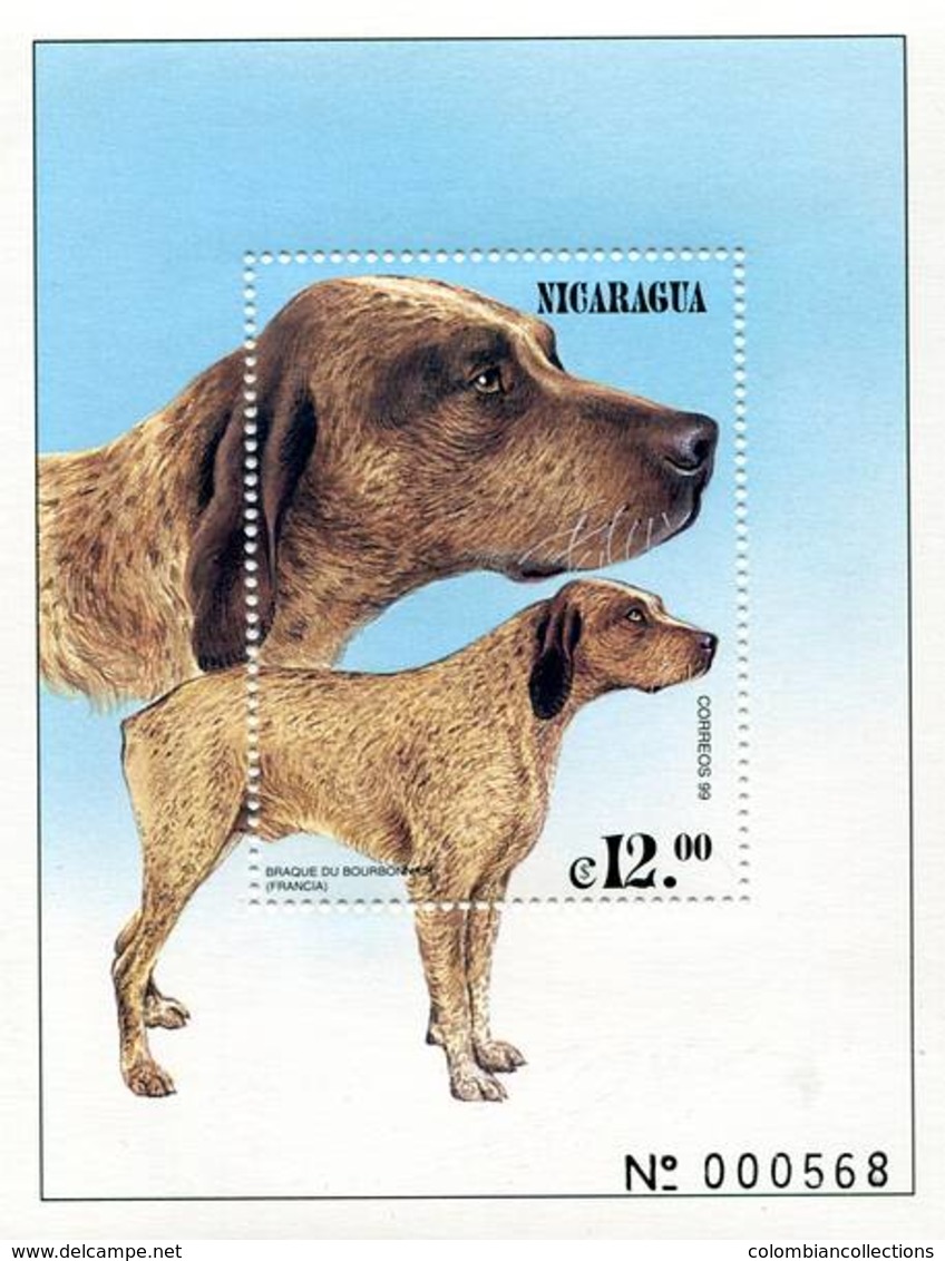 Lote 2322, Nicaragua, 1999, HF, SS, Perro, France, Braque Du Bourbonnais, Dog, Francia - Nicaragua