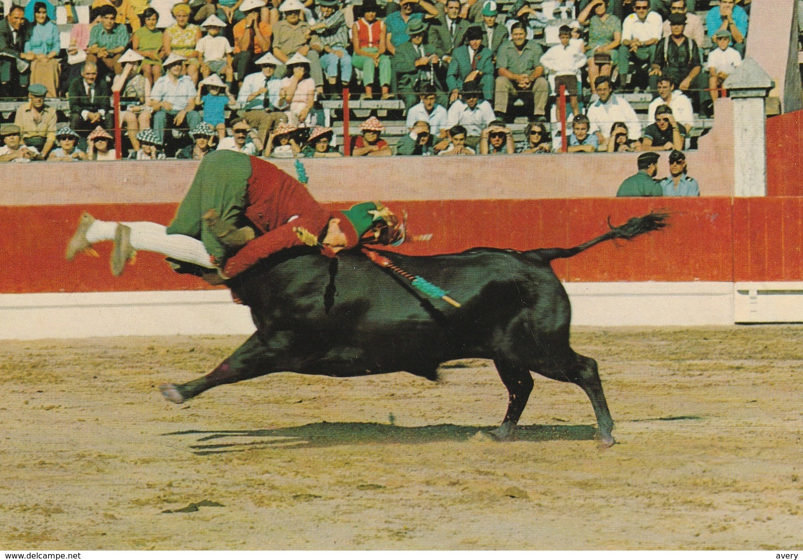 Portugal  Pega  Typique De La Course De Taureaux Portugaise Typical Of Portuguese Bullfight - Other & Unclassified