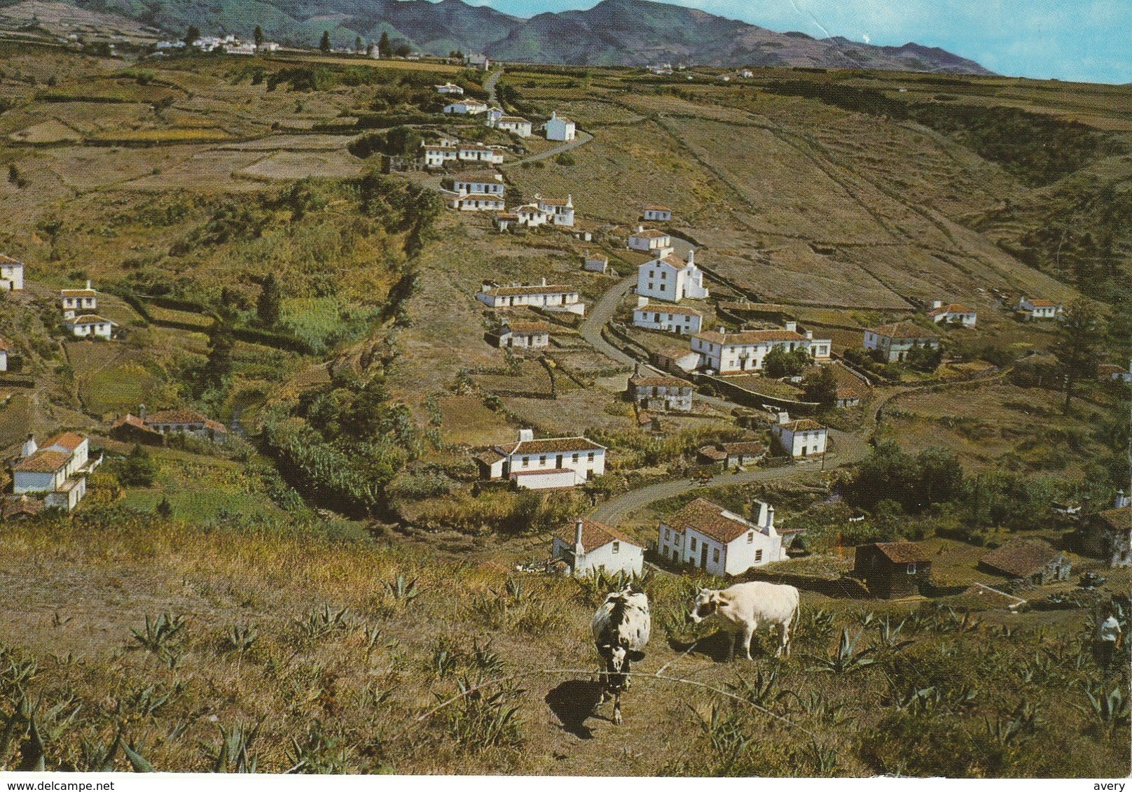 Santa Maria - Acores (Portugal) Vista De Vaiverde  View Of Vaiverde Valley Vue De Vaiverde Valle - Açores