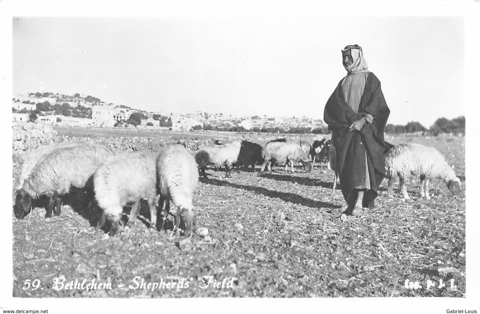 Carte-Photo - Bethlehem Shepherds Field - Palestine