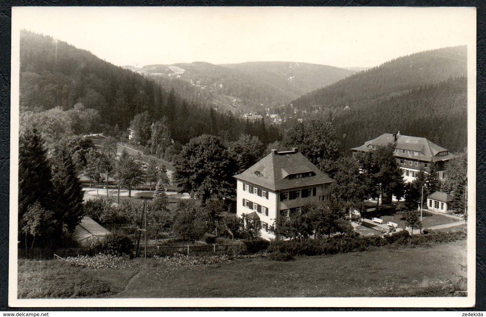 C2107 - Kipsdorf - Blick Vom Bärenfeld - Foto Glauer - Handabzug - Kipsdorf