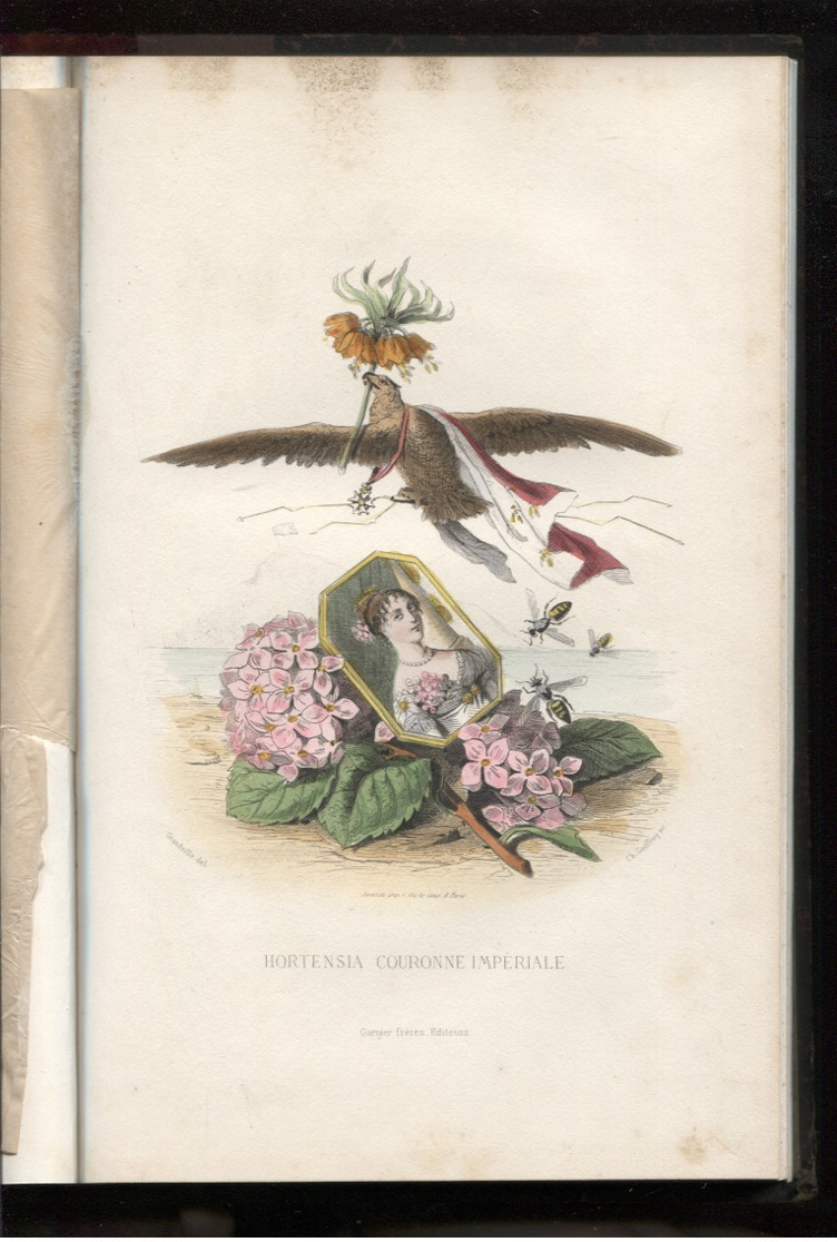 Grandville Les Fleurs Animées Tome 2 Garnier Sd Reliure Ordinaire 22 Gravures Aquarellées ABE Port France 8,80€ - 1801-1900