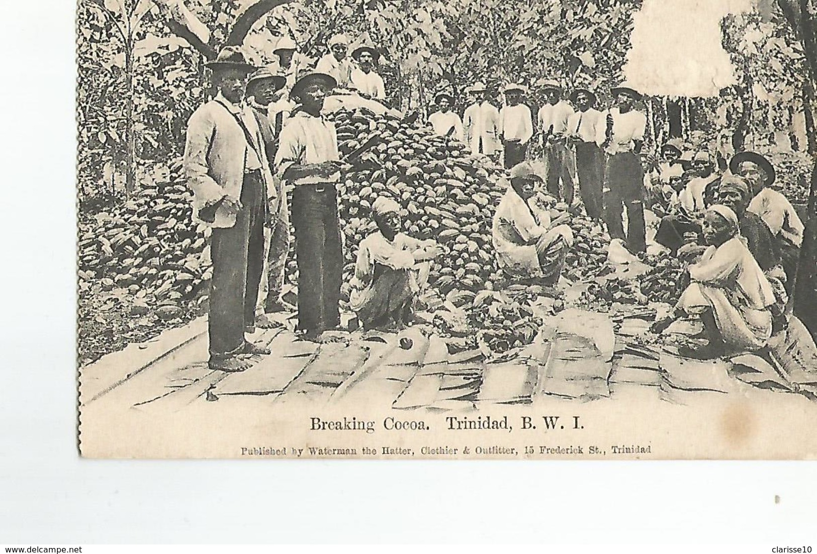 Amerique Antilles Breaking Cocoa Trinidad B.W.I. - Trinidad