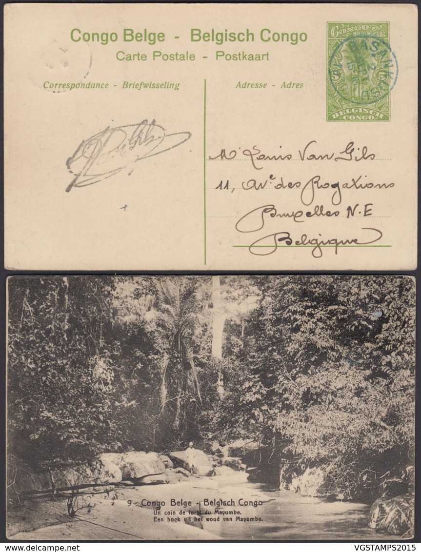 CONGO BELGE EP 5c VERT DE BASANKOSU 1915 "UN COIN DE FORET MAYUMBE" (DD) DC-1704 - Postwaardestukken